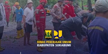 Antisipasi Bencana, Dinas PU Rutin Periksa Pohon di Sepanjang Jalan
