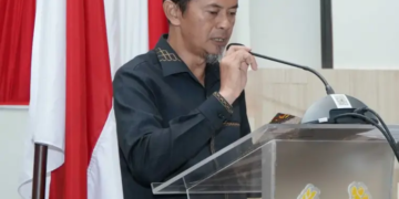 “Capaian Investasi 2024 53%, Komisi I DPRD Usul Perda untuk Permudah Investasi di Sukabumi