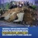 Kepala Dinas PU Sukabumi: Jembatan Bailey Segera Dipasang di Bojongkopo Pasca-Banjir Bandang