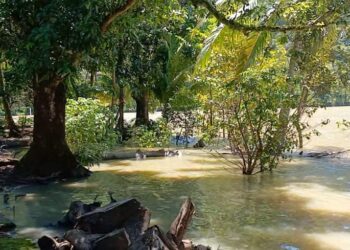 ‎10 Hektar Sawah Terendam, Petani di Ciwaru Rugi Ratusan Juta