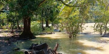 ‎10 Hektar Sawah Terendam, Petani di Ciwaru Rugi Ratusan Juta
