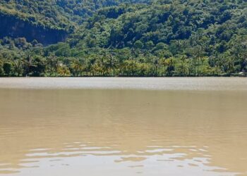 Sekmat Ciemas Tinjau  Sawah di Cimarinjung, yang Terendam Banjir