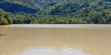 Sekmat Ciemas Tinjau  Sawah di Cimarinjung, yang Terendam Banjir
