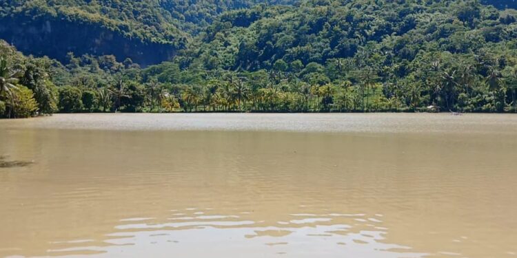 Sekmat Ciemas Tinjau  Sawah di Cimarinjung, yang Terendam Banjir
