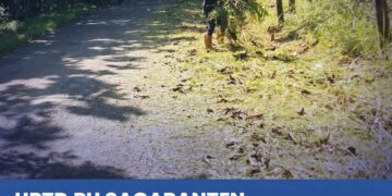 UPTD PU Sagaranten Bersihkan Bahu Jalan di Ruas Cigadog-Cimangir