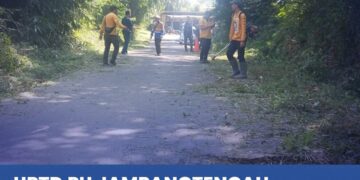 Pemeliharaan Rutin, UPTD PU Jampangtengah Bersihkan Rumput Liar  Sepanjang 3 Km