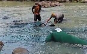 Kepedulian Nyata di Muara Sukawayana: Mang Kudil dan Para Pemuda Bergerak untuk Majlis Sukabumi