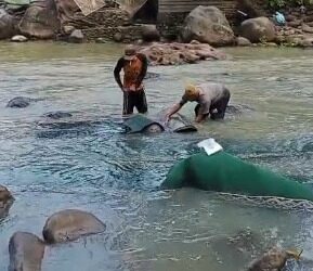 Kepedulian Nyata di Muara Sukawayana: Mang Kudil dan Para Pemuda Bergerak untuk Majlis Sukabumi