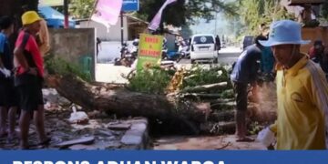 Antisipasi Pohon Tumbang, Dinas PU Sukabumi Tebang dan Pangkas Pohon di Palabuhanratu