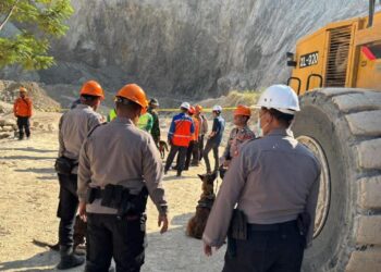 Gunung Kuda Cipanas: Tim K-9 Endus Empat Titik Baru pada Hari Keenam Pencarian