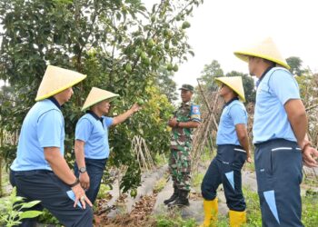 Sinergi untuk Kemandirian Pangan: Danlanud Husein Sastranegara Tinjau Lahan Produktif di Cimahi