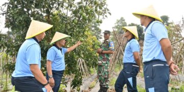 Sinergi untuk Kemandirian Pangan: Danlanud Husein Sastranegara Tinjau Lahan Produktif di Cimahi