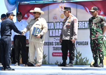 Presiden RI dan Panglima TNI Tinjau Panen Raya Jagung di Bengkayang, Kalbar