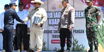 Presiden RI dan Panglima TNI Tinjau Panen Raya Jagung di Bengkayang, Kalbar