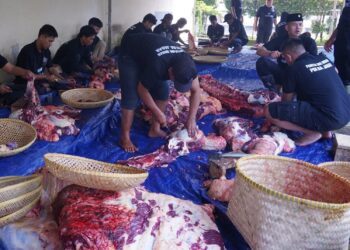 Polda Jabar Serahkan 77 Sapi dan 35 Kambing untuk Kurban Iduladha