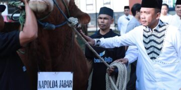 Kapolda Jabar Sumbangkan Dua Sapi Limosin untuk Pesantren, Penyandang Disabilitas, dan Kaum Dhuafa pada Iduladha 1446 H