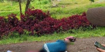 OPM Tembak Dua Tukang Bangunan Gereja di Jayawijaya, Korban Tewas di Tempat