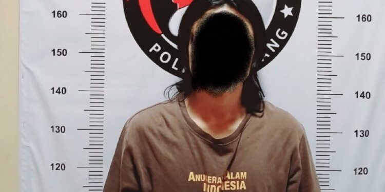 Jaringan Narkoba Terendus: Polres Subang Ringkus Kurir Sabu di Pagaden Barat