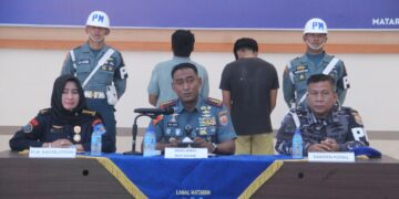 TNI AL Tangkap 21 Pelaku Penyelundupan Benih Lobster di NTB, Kerugian Negara Capai Rp5 Miliar
