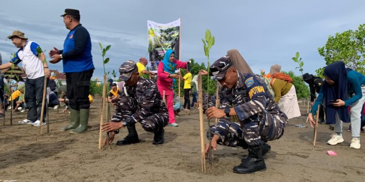 Sinergi Lestarikan Lingkungan: TNI AL Bersama Masyarakat Tolitoli Tanam 1.000 Bibit Mangrove