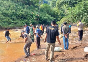 Dukung Kelestarian Ekosistem, Karang Taruna Girimukti Tebar 1.000 Bibit Ikan Nila di Sungai Cimarinjung