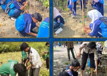 BEM FAPERTA UMMI Tanam Ratusan Mangrove di Cikadal: Aksi Nyata Jaga Ekosistem Pesisir