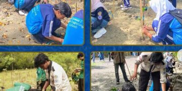 BEM FAPERTA UMMI Tanam Ratusan Mangrove di Cikadal: Aksi Nyata Jaga Ekosistem Pesisir