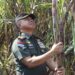 Swasembada Gula 2028, Panglima TNI Turun ke Sawah Dukung Panen Raya Tebu di Sleman