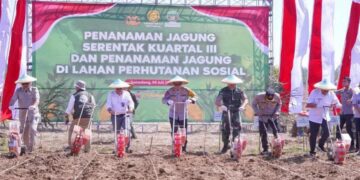Irjen Pol. Rudi Setiawan Tanam Jagung Serentak di 23 Polres, Gandeng TNI dan Bulog Dukung Ketahanan Pangan
