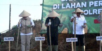 Sukabumi Menuju Lumbung Pangan Nasional, H. Andreas Dorong Industri Turunan Jagung