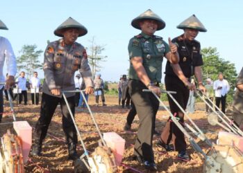Sinergi Lintas Sektor: Polres Garut Launching Penanaman Jagung Serentak Kuartal III