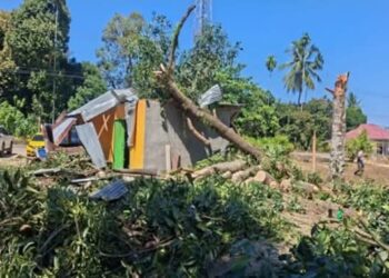 BNPB Catat Enam Bencana Baru, Kombinasi Kekeringan hingga Banjir di Musim Kemarau