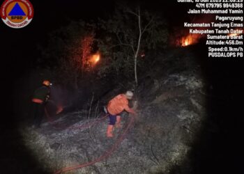 BNPB Rilis Laporan Harian: Gempa Probolinggo dan Karhutla di Sumatera