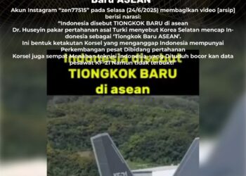 Video Klaim Indonesia Jadi “Tiongkok Baru ASEAN” Beredar, Ini Faktanya