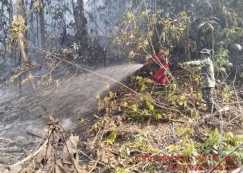 Laporan BNPB: Bencana Alam Meluas, Ribuan Warga Terdampak Gempa dan Karhutla