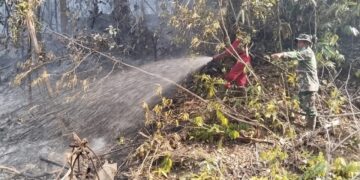 Laporan BNPB: Bencana Alam Meluas, Ribuan Warga Terdampak Gempa dan Karhutla