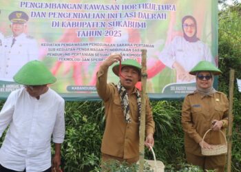 Wabup Sukabumi: Panen Raya Cabai Jadi Langkah Menuju Agrowisata dan Agroindustri