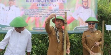 Wabup Sukabumi: Panen Raya Cabai Jadi Langkah Menuju Agrowisata dan Agroindustri
