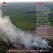 Bersama Menjaga Langit: Perang Melawan Bara di Sungai Rotan