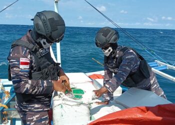 Dua Kapal Asal Filipina Ditangkap TNI AL di Sangihe, Bawa Skincare dan Obat Ayam Ilegal