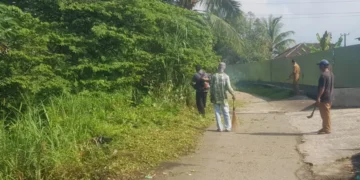 Pemeliharaan Bahu Jalan Digencarkan, UPTD PU Cicurug Bersihkan Ruas Babakanjaya–Bojonglongok