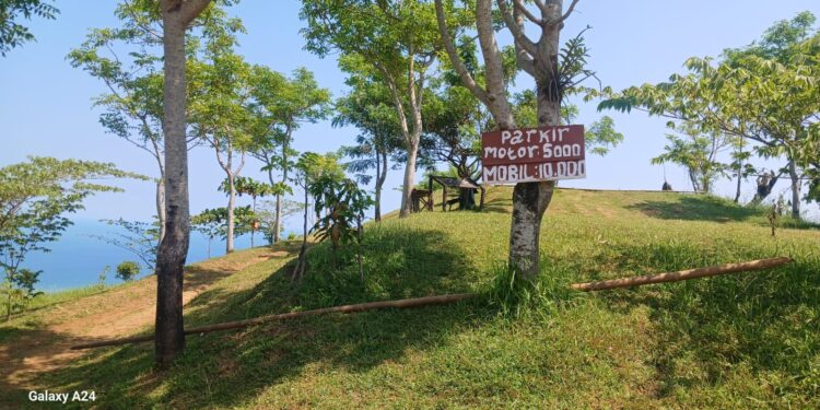 Tanpa Legalitas, Pengelola Puncak Aher Diduga Tarik Retribusi Ilegal hingga Puluhan Juta