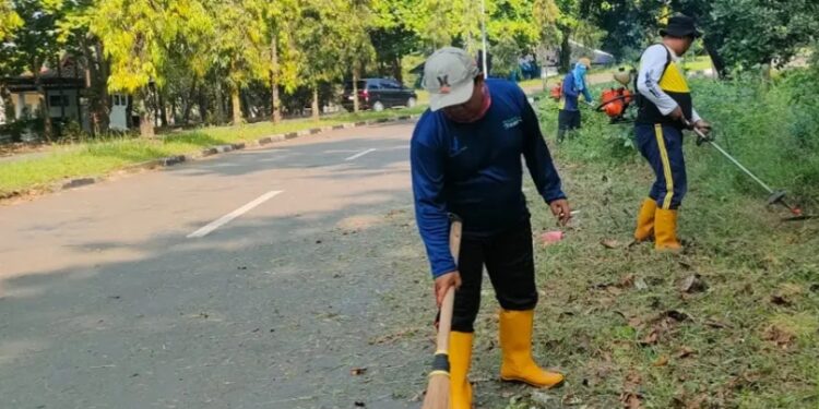 UPTD PU Wilayah IV Palabuhanratu Bersihkan Bahu Jalan dan Drainase di Jalan Jajaway, Antisipasi Genangan dan Jaga Keselamatan Pengguna Jalan