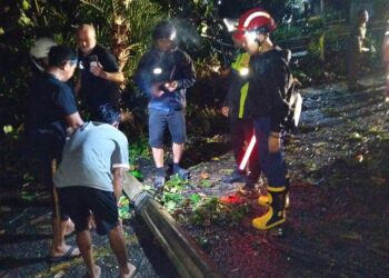 Pemkab Sukabumi Gerak Cepat Tangani Pohon Tumbang di Jalur Nasional Palabuhanratu–Banten