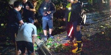 Pemkab Sukabumi Gerak Cepat Tangani Pohon Tumbang di Jalur Nasional Palabuhanratu–Banten