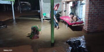 Curah Hujan Tinggi & Pendangkalan Parah Sungai Cimarinjung: Air Meluap Rendam Jalan Provinsi dan Sawah Siap Panen