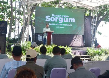 Wabup Sebut Pengembangan Sorgum sebagai Biomassa Jadi Langkah Strategis Menuju Energi Berkelanjutan