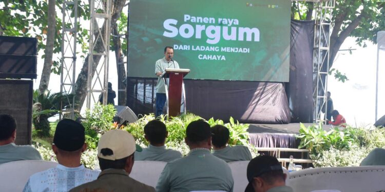 Wabup Sebut Pengembangan Sorgum sebagai Biomassa Jadi Langkah Strategis Menuju Energi Berkelanjutan