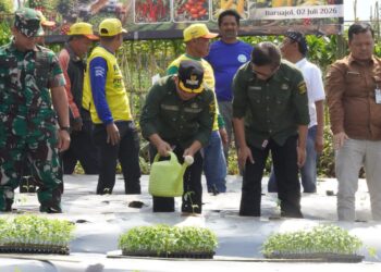 Wabup Dorong Petani Tingkatkan Kapasitas Demi Menjawab Kebutuhan Pasar
