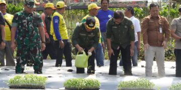 Wabup Dorong Petani Tingkatkan Kapasitas Demi Menjawab Kebutuhan Pasar
